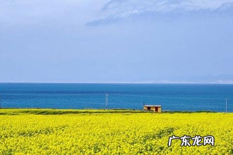 去青海湖旅游最佳时间 青海旅游最好的季节几月份?怎么去青海湖方便?