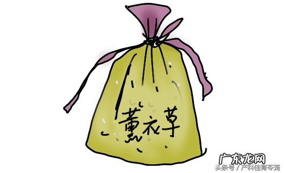 孕妇晚上有蚊子怎么办 孕妇蚊子多怎么办