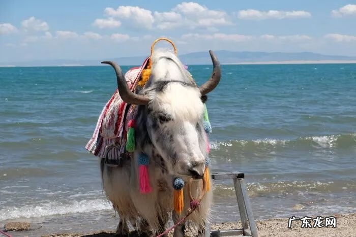 暑假旅游景点推荐 暑假旅游的地方有