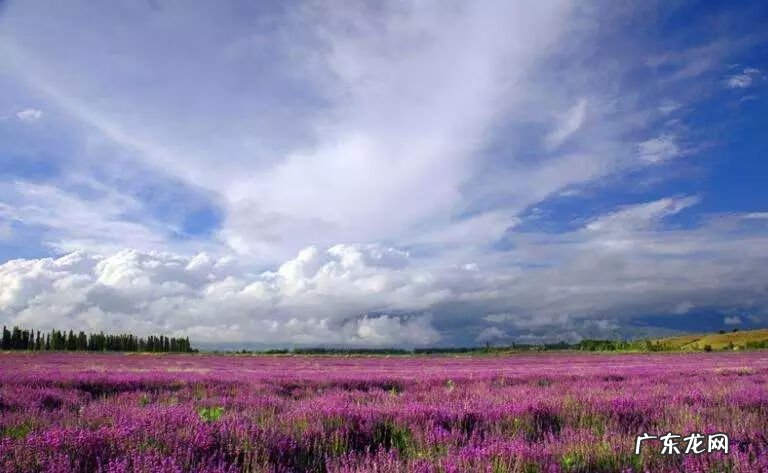 暑假旅游景点推荐 暑假旅游的地方有