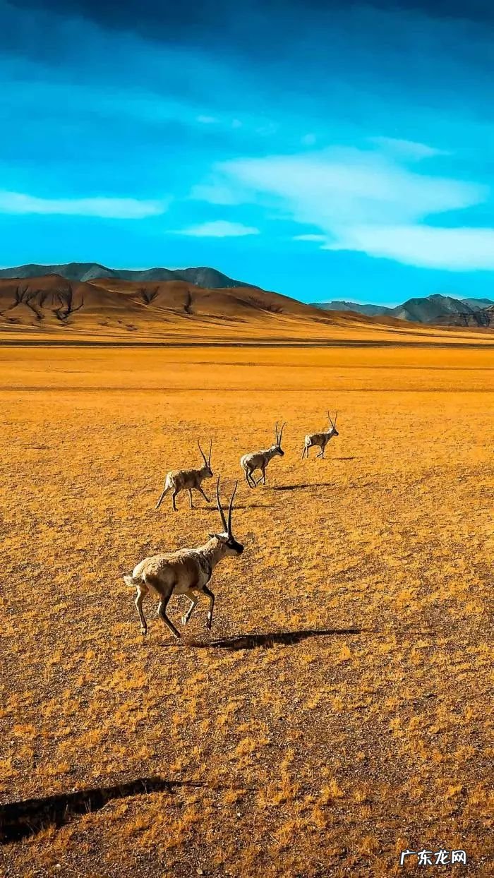 暑假旅游景点推荐 暑假旅游的地方有