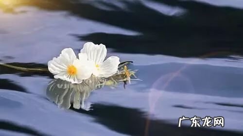 暑假旅游景点推荐 暑假旅游的地方有