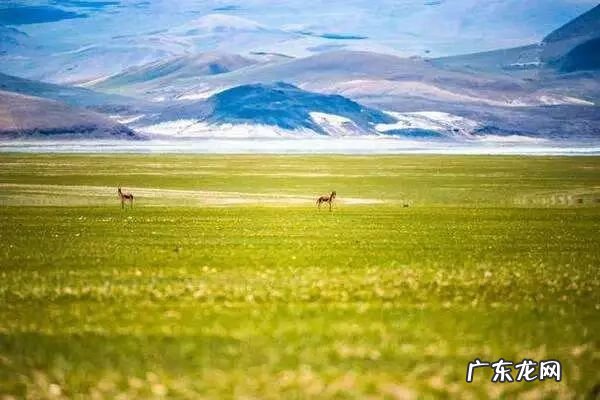 暑假旅游景点推荐 暑假旅游的地方有