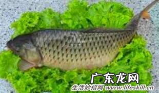 活水鱼怎么处理 活水鱼怎么保存