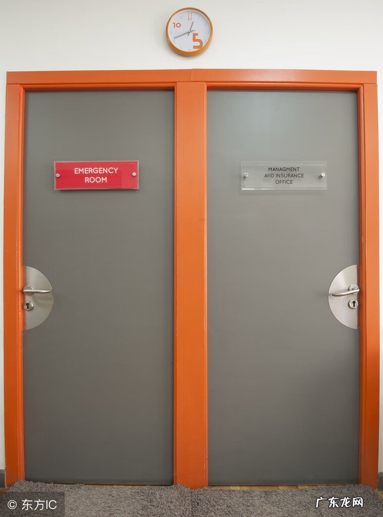 水仙招财吗 风水 开门见水