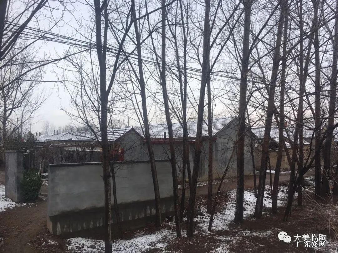 临朐风水最好的地方 临朐哪个镇风水最好的