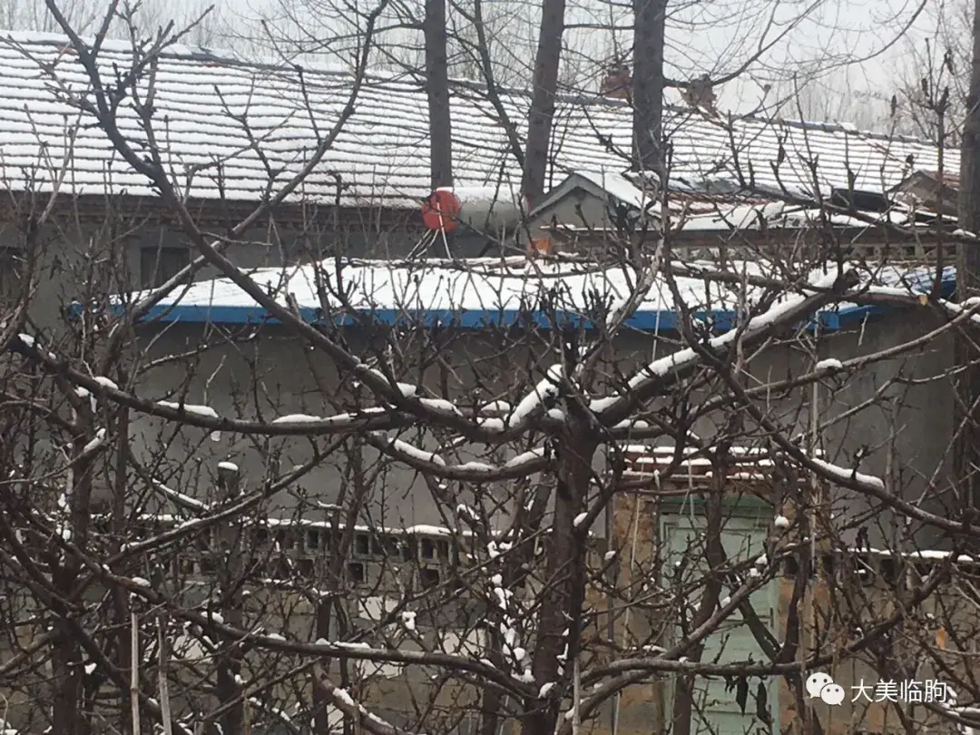 临朐风水最好的地方 临朐哪个镇风水最好的