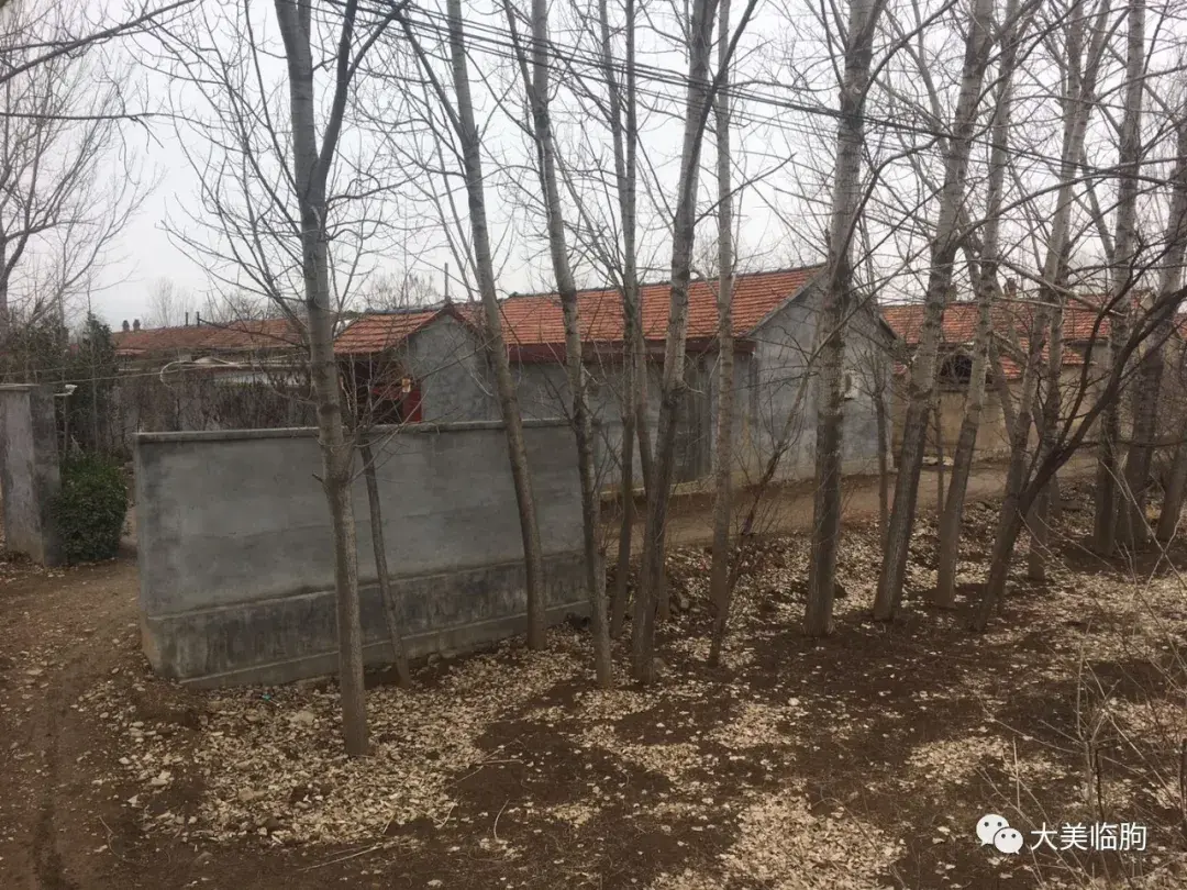 临朐风水最好的地方 临朐哪个镇风水最好的