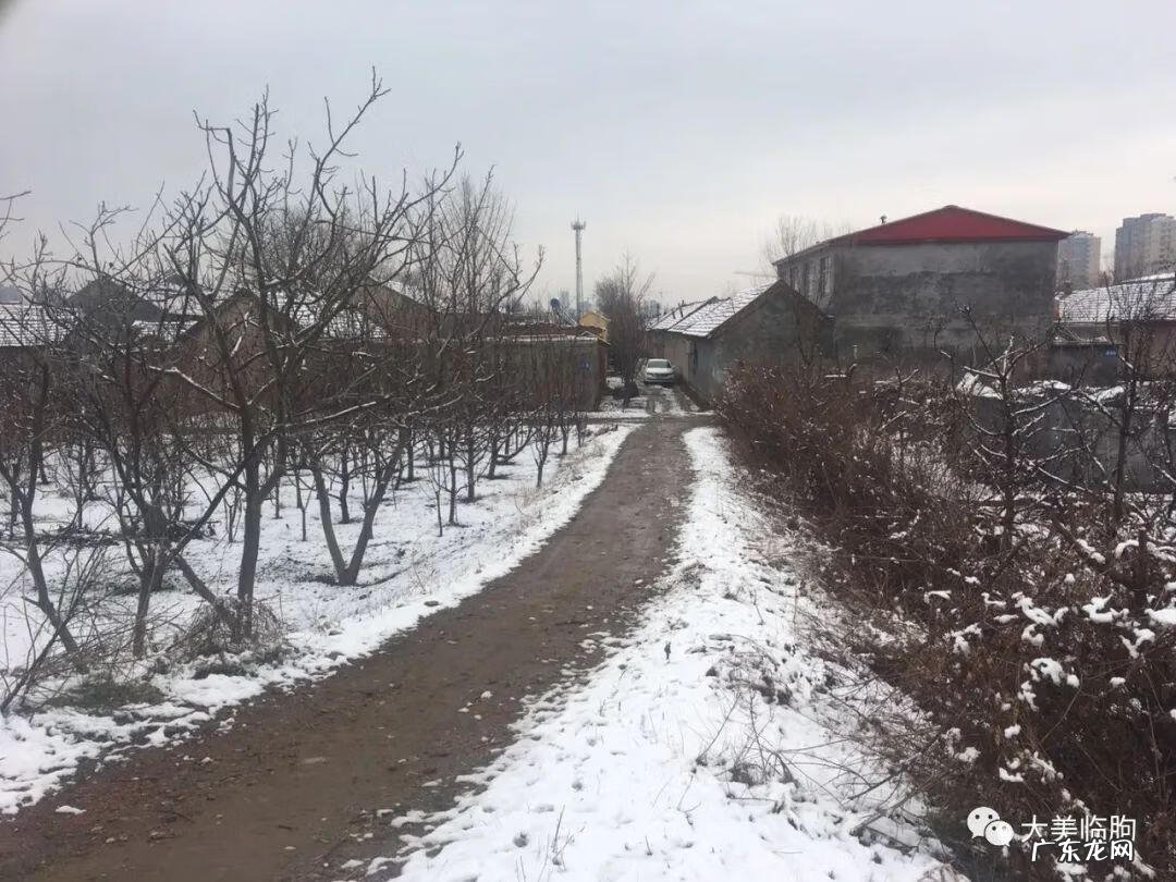 临朐风水最好的地方 临朐哪个镇风水最好的