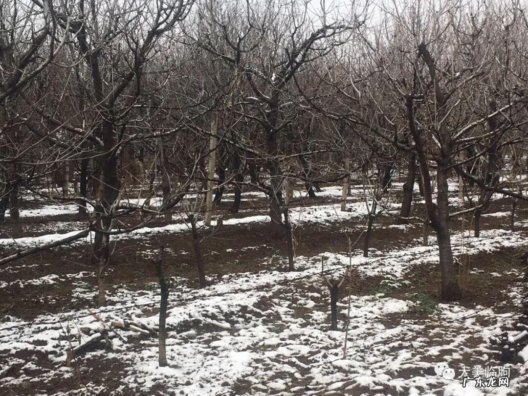 临朐风水最好的地方 临朐哪个镇风水最好的