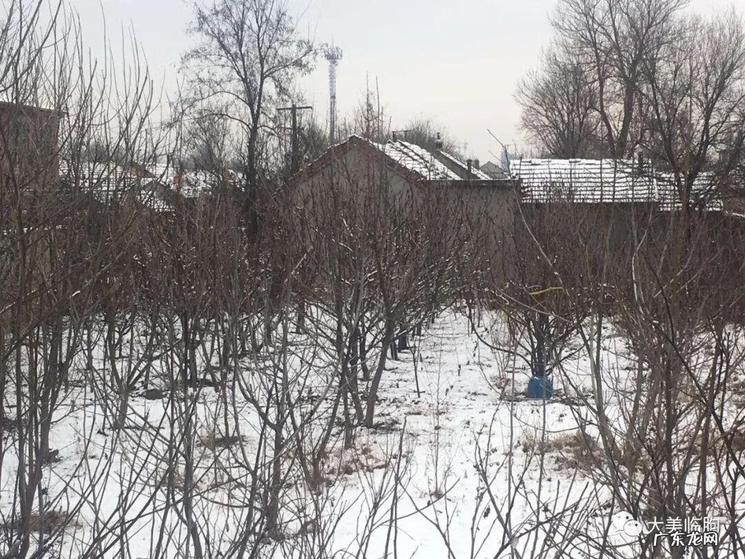 临朐风水最好的地方 临朐哪个镇风水最好的