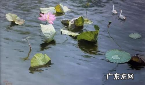 买房楼栋号讲究风水 风水147房代表什么意思啊