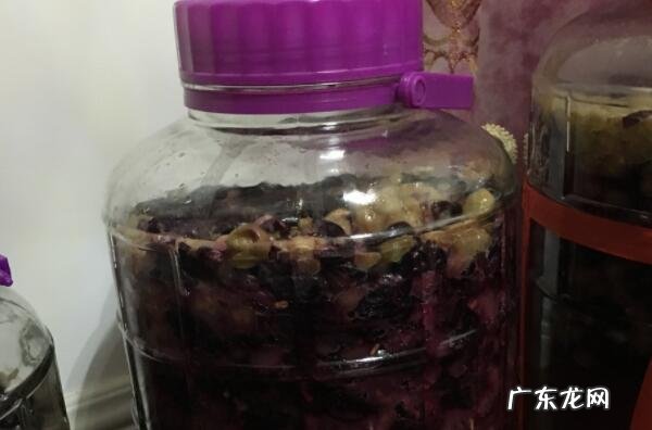 自制葡萄酒酿制方法和步骤 自制葡萄酒的正确方法