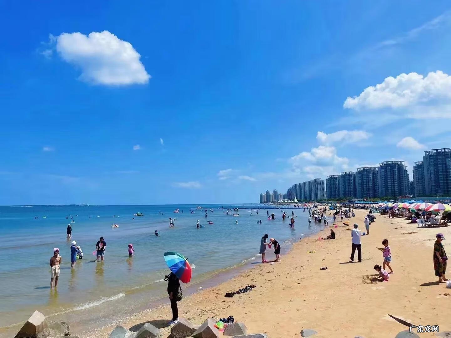 龙口东楼盘 龙口东海