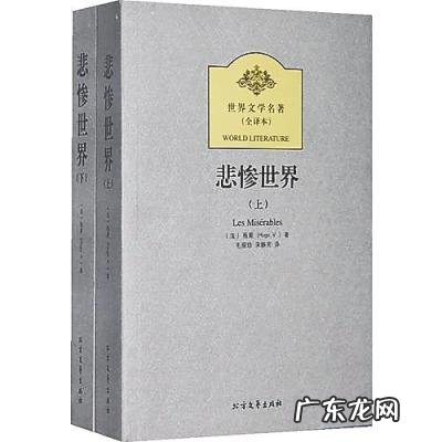 雨果的资料简介50字 雨果的相关资料30字左右