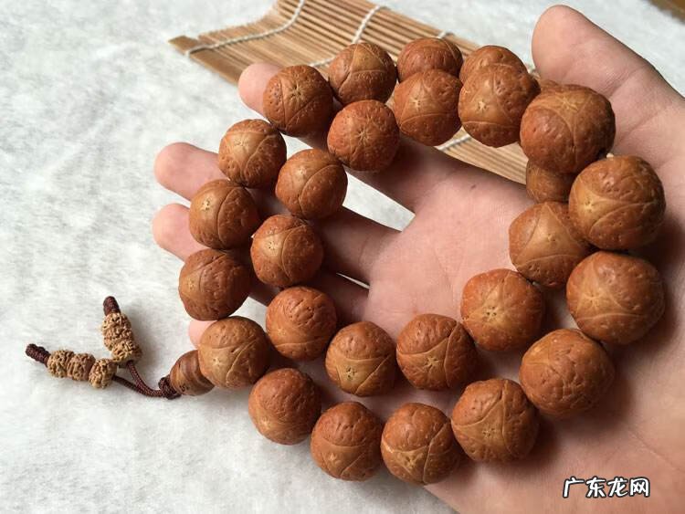 凤眼菩提吧 凤眼菩提凤眼菩提