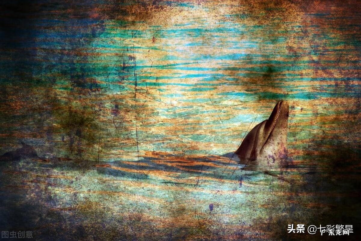 河豚种类介绍图 海豚图片