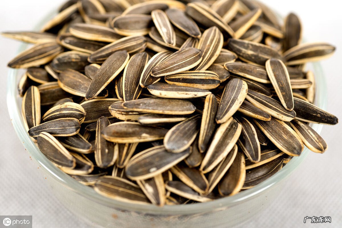 葵花籽的功效与作用 葵花籽有什么作用与功效
