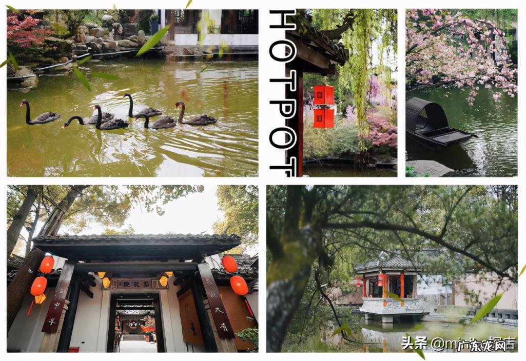 成都好吃的火锅店排名 成都必吃的火锅店