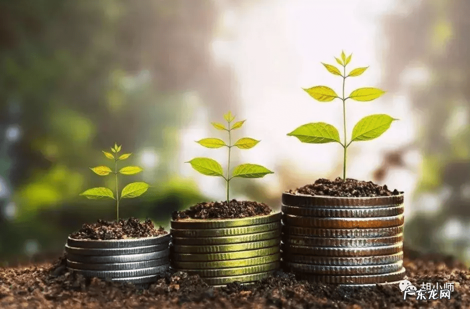 投资的项目有哪些 好的投资项目有哪些