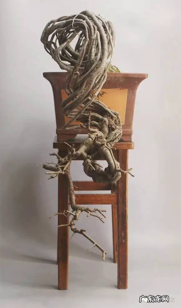 风水飞凤下山形图片 飞龙下山风水地图