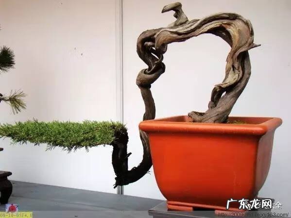 风水飞凤下山形图片 飞龙下山风水地图