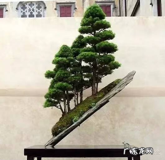 风水飞凤下山形图片 飞龙下山风水地图