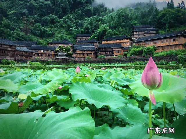 龙胜十大旅游景点 龙胜旅游景点大全