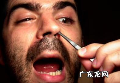 血榧价格 血榧有什么好处