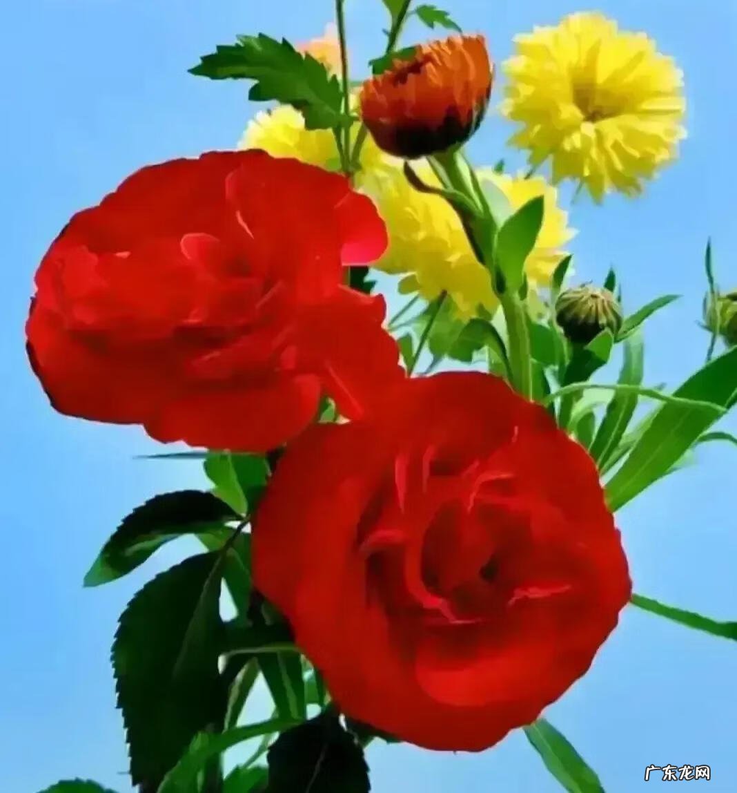 家里的风水有哪些要注意的 家庭风水10个秘诀图解