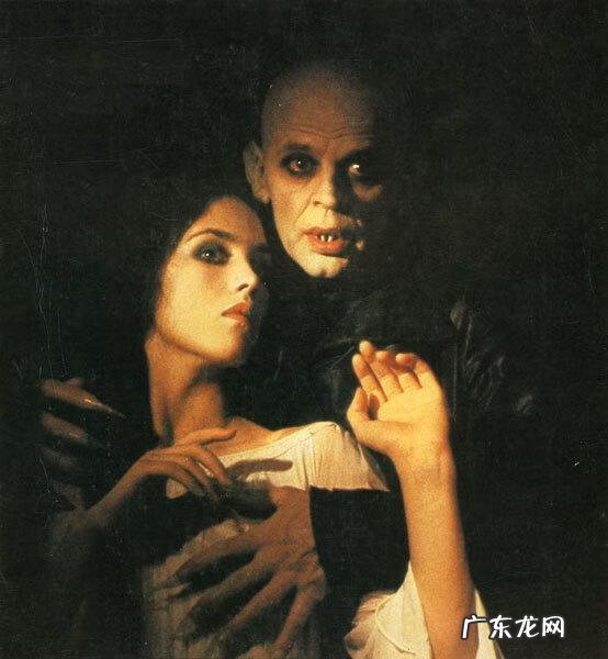 弗拉基米尔伯爵 弗拉基米尔 诺斯费拉图