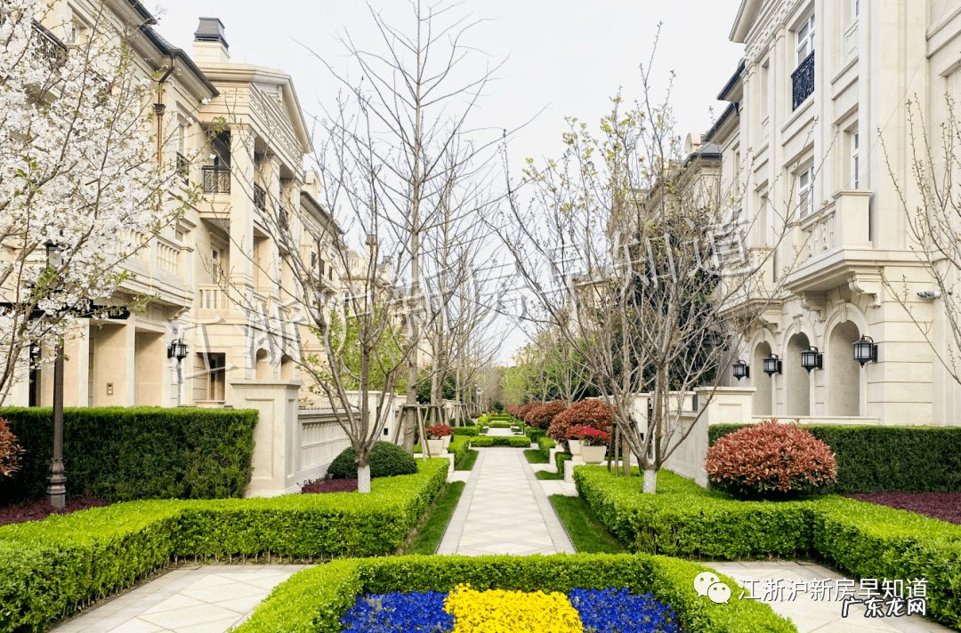 长宁区独栋别墅 长宁区别墅在什么位置