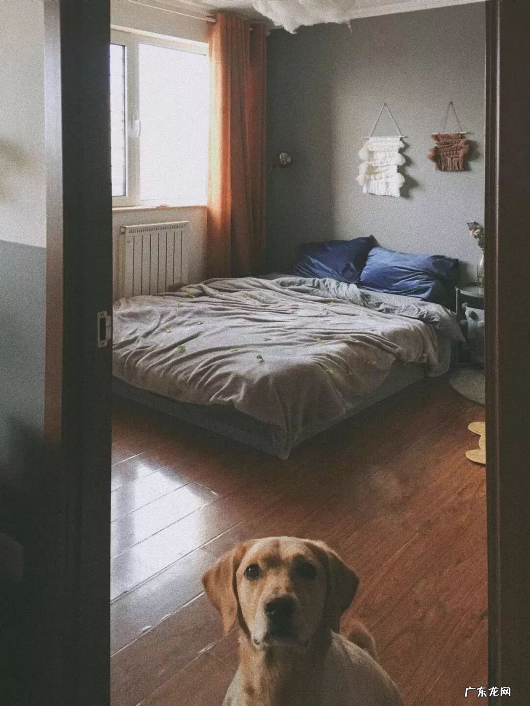 床头朝向风水 风水床头朝向图解