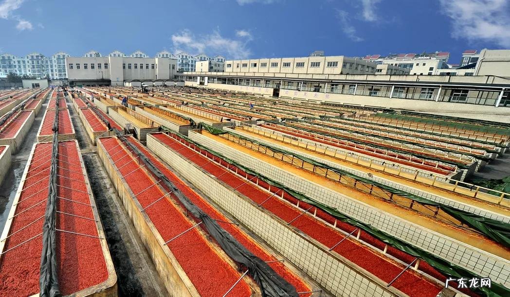 家居风水摆设 郫县家居风水方位在哪里
