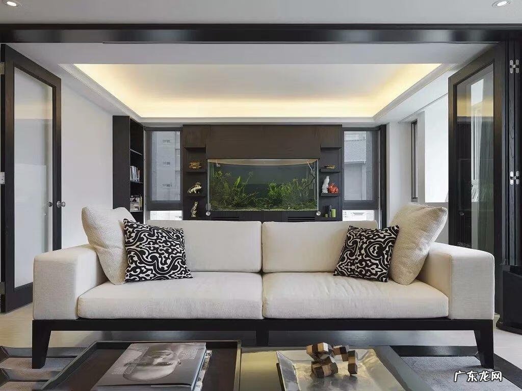 属蛇的人养什么风水鱼比较合适呢