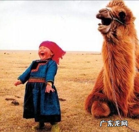 你认为小品《五官争功》好在哪里？为什么？