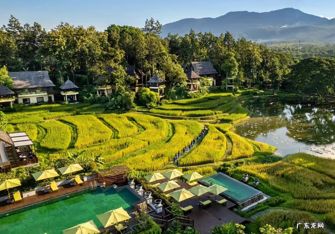 描写祖国的作文 关于祖国的文章开头