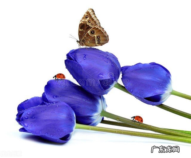 大半夜睡不着觉的人都在想什么?