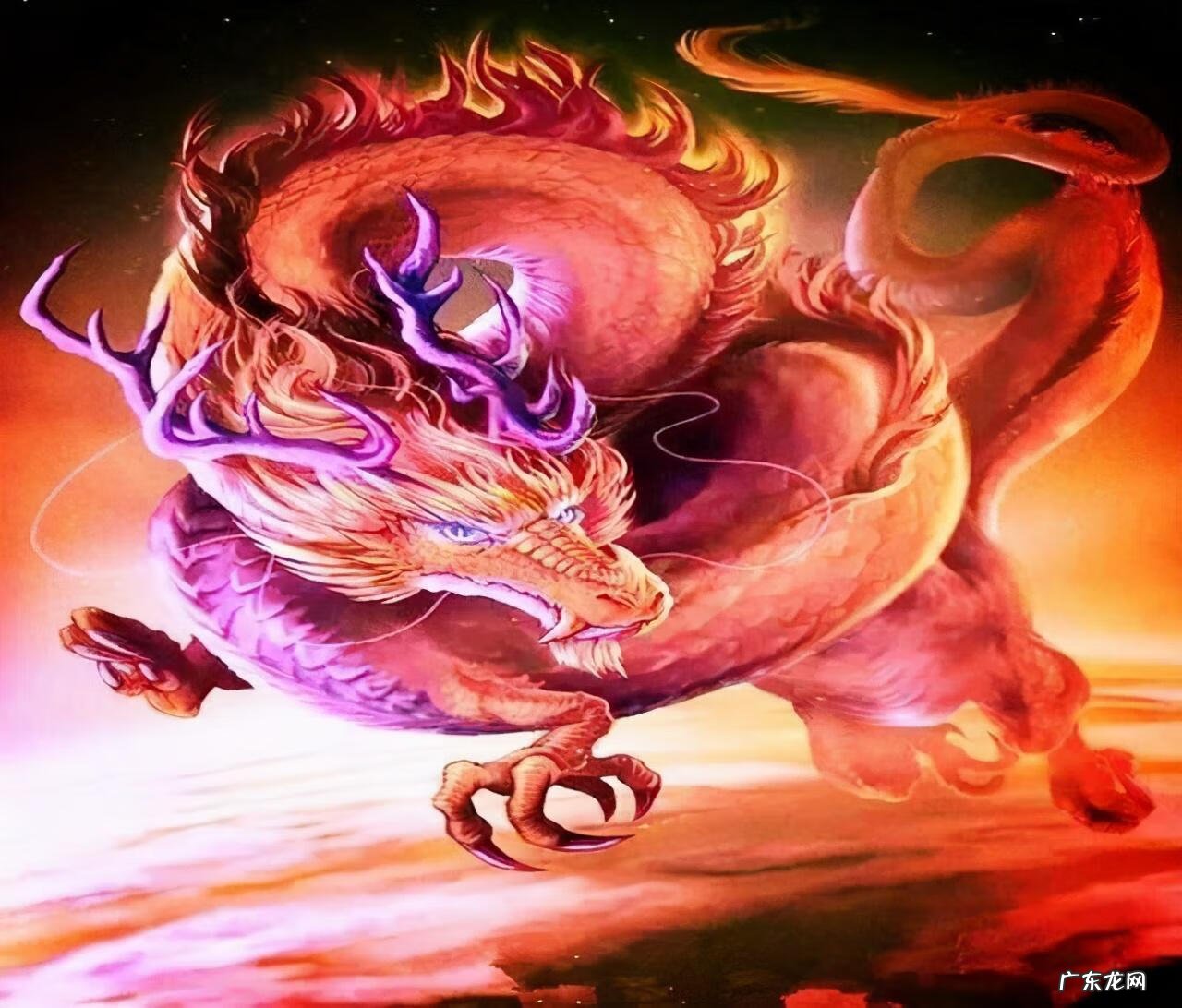 神紫龙技能加点 龙神加点 系统