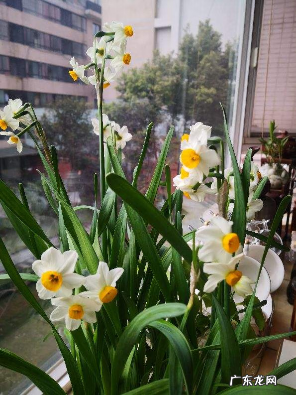 纯水精灵 纯水之球值钱吗