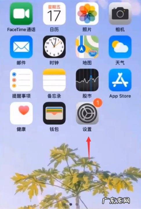 苹果手机怎么清理缓存文件 苹果怎么清理缓存数据
