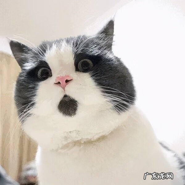 上海金茂大厦值得去吗 金茂大厦的风水