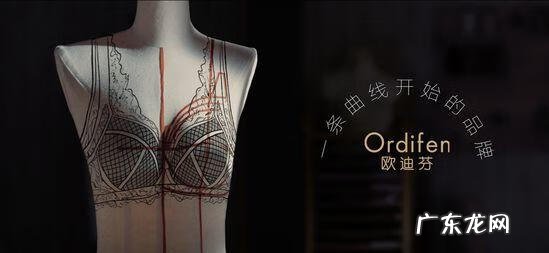 欧迪芬微博 欧迪芬公司简介