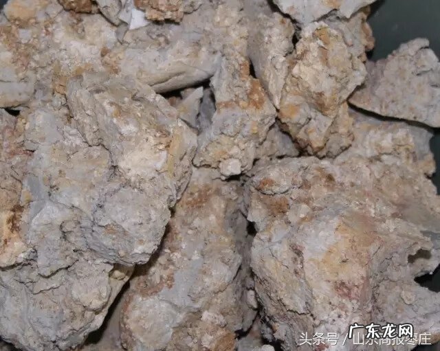 薛城看风水 薛城袁寨山和阳谷的风水