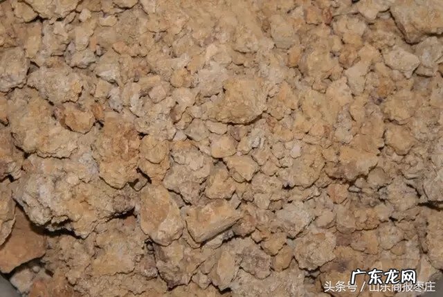 薛城看风水 薛城袁寨山和阳谷的风水