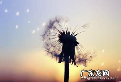 婚姻里，没爱了应该告诉对方吗？该怎么办？