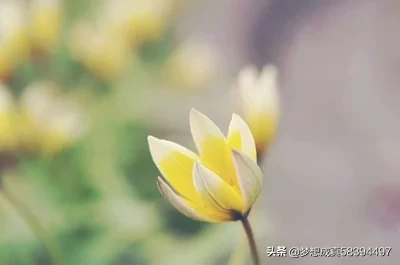 婚姻里，没爱了应该告诉对方吗？该怎么办？