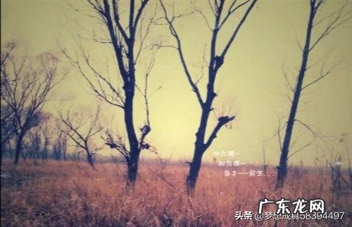 婚姻里，没爱了应该告诉对方吗？该怎么办？