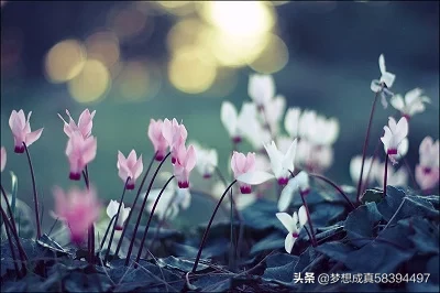 婚姻里，没爱了应该告诉对方吗？该怎么办？