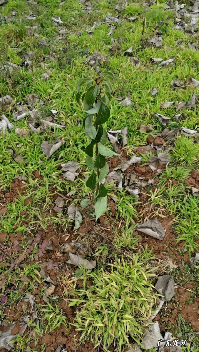 婚姻里，没爱了应该告诉对方吗？该怎么办？
